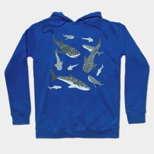 Whale Sharks Hoodie